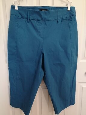 Savvy Fit Teal Blue Capri Pants – Size 18